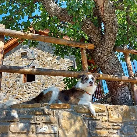 Casa Lisa בית הארחה 3*