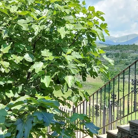 بيت ضيافة Casa Lisa *
