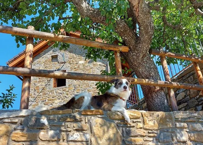 Casa Lisa Guest house 3*